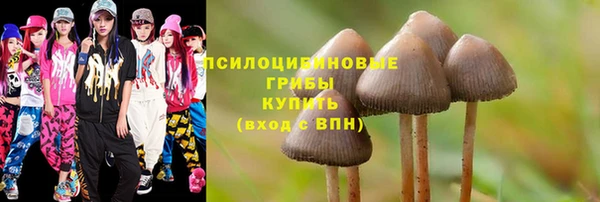 jwh Бородино