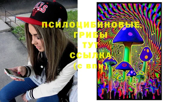 стаф Верхний Тагил