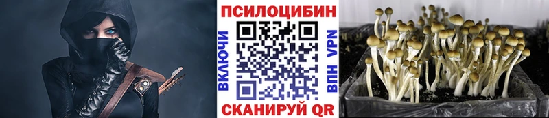Галлюциногенные грибы Cubensis  что такое наркотик  Кемь 